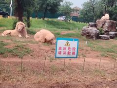 -秦皇岛野生动物园