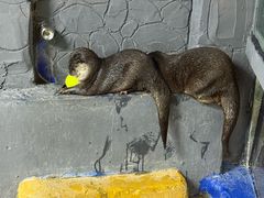 -太平洋海底世界