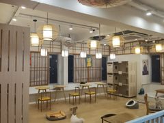 -Let's go狗咖·猫咖·奶狗·桌游(春熙路IFS店)