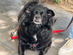 -鞠婆婆•绵绵冰•凉糕•手工冰粉(苏稽一店)