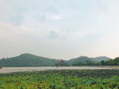 -顺峰山公园