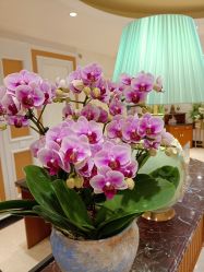 -北京俪婴妇产医院(朝阳大悦城店)