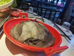 -二荆条·蜀鲜汇城市森林火锅