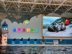 -蓬莱欧乐堡海洋极地世界
