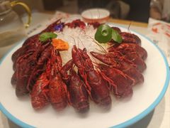-杨氏青龙虾·羊蝎子(金盛路总店)