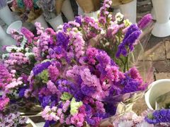 -三圣花乡旅游区