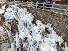 -陕西省红河谷森林公园