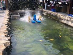 -京北渔家傲