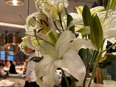 -南堂馆·新川菜(春熙路店)