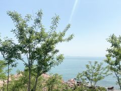 -燕儿岛山公园