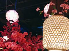 -探花·意境江南菜·唐伯虎文化体验店·松鼠桂鱼(观前店)