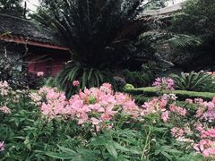 -峨眉山报国寺