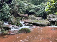 -赤水丹霞旅游区·佛光岩