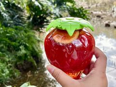 -大卡司DAKASI(番禺奥园店)