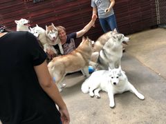 -TrueLove @ Neverland (Husky Cafe)