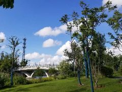 -上海长兴岛郊野公园