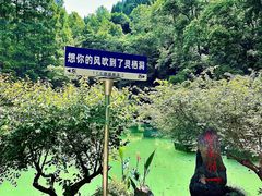 -灵栖洞天