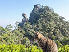 -三清山风景名胜区
