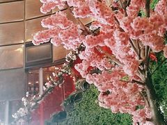 -自助火锅筷乐食代自助餐厅(金辰店)