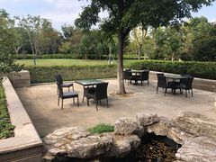 景观位-太湖饭店玉兰厅(自助餐厅)