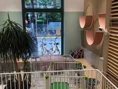 -電力宠物公司(武定路店)