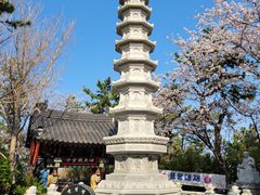 -海东龙宫寺