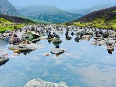 -莲宝叶则景区