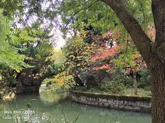 -上海醉白池公园