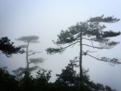 -大明山自然探索公园