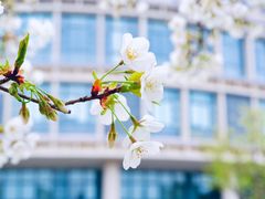 -公益图书馆(江南大学店)