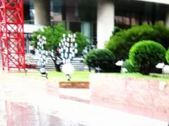 -香港理工大学