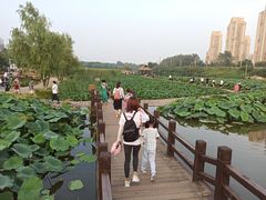 -前关湿地公园