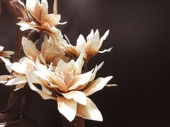 -爱康卓悦体检中心(九座花园分院)