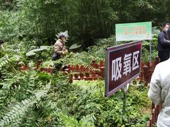 -百魔洞景区
