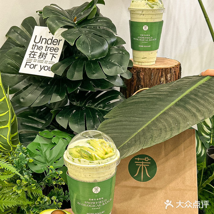 在泉州能让我连续喝一周的也只有茉酸奶了🔥