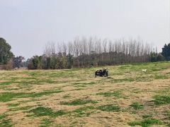 -两河城市森林公园