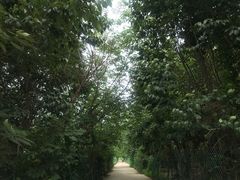 -亲兄弟真人CS团建拓展基地