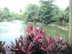 -厦门日月谷温泉渡假村