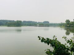 -东郊湿地公园