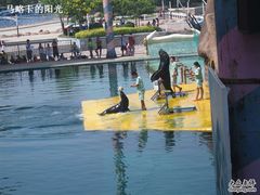 -秦皇岛乐岛海洋王国