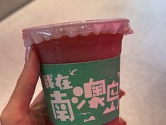 -南澳岛打卡果汁冰公司