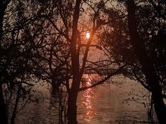 -宝安西湾红树林湿地公园