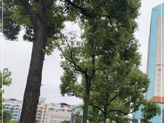 -固海糕团店