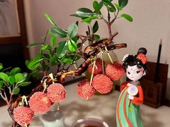 -遇见长安之高山流水(李家村万达店)