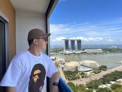 -新加坡瑞士史丹福酒店