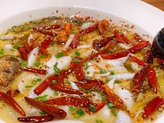 -首秀·四川料理(星耀101店)