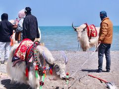 -青海湖国家重点风景名胜区