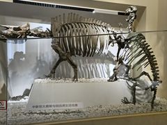 -国家自然博物馆