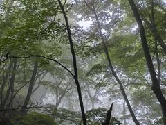 -五女峰国家森林公园