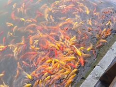 -武汉紫薇都市田园